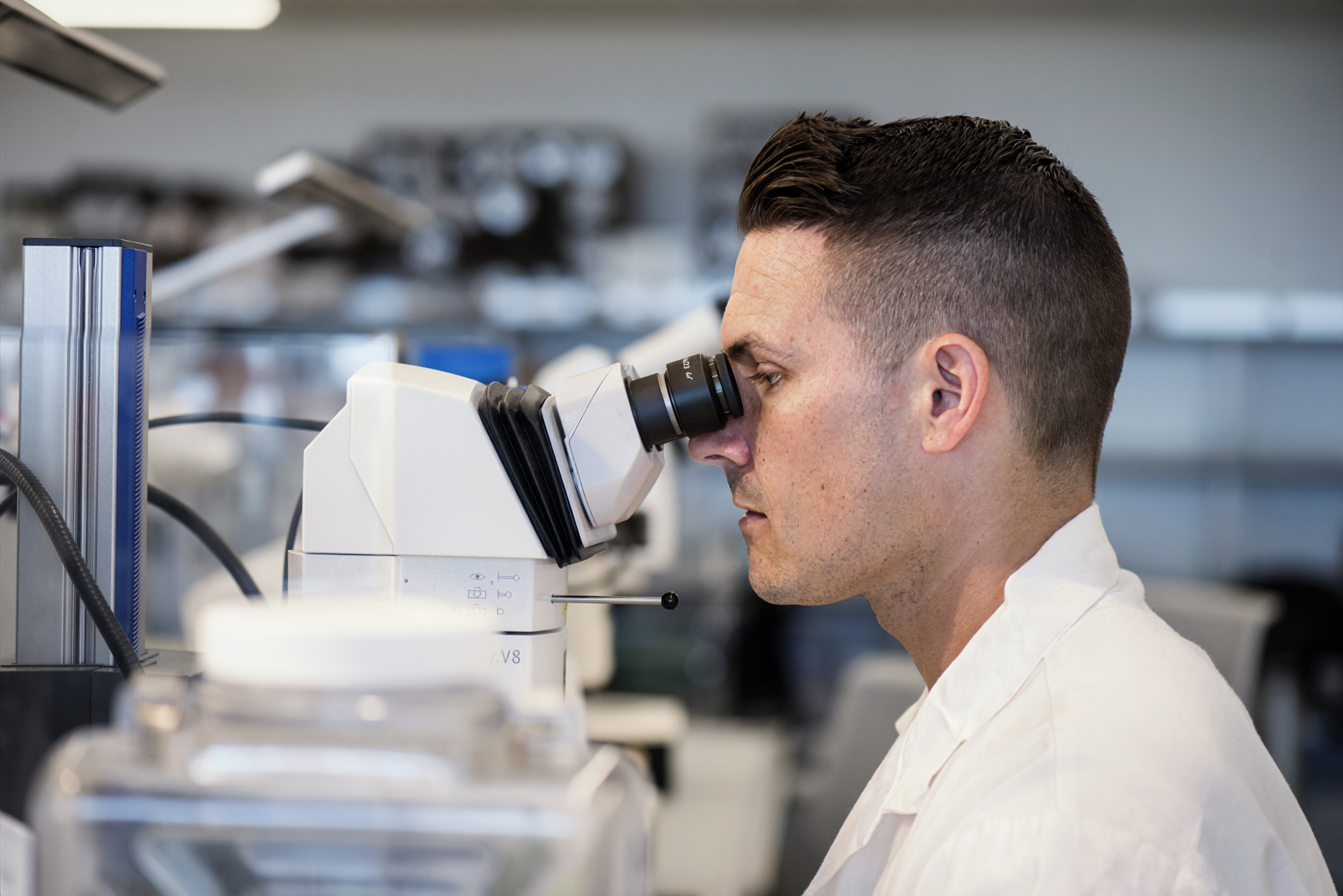 Scientist examining samples with a microscope in a laboratory