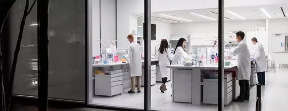 Foto de uma sala de laboratório vista através das janelas altas. O laboratório é iluminado com luz branca, com bancadas, chão e paredes brancas. Nas bancadas estão frascos coloridos e adjacente mulheres e homens de jaleco branco trabalham.