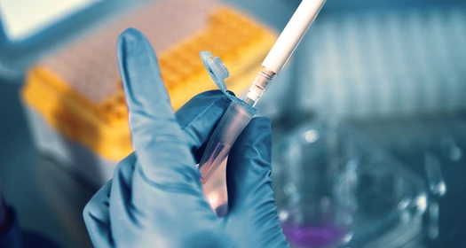Close up on the hands of a laboratory technician wearing blue gloves preparing a sample with pipette