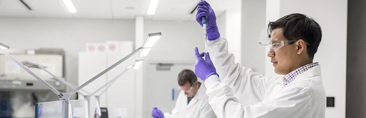 Man scientists working in lab