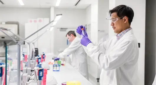 Shkencëtarët që punojnë në një laborator