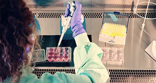 Laborwissenschaftler bei der Vorbereitung von Proben mit Pipette und Reagenzgläsern