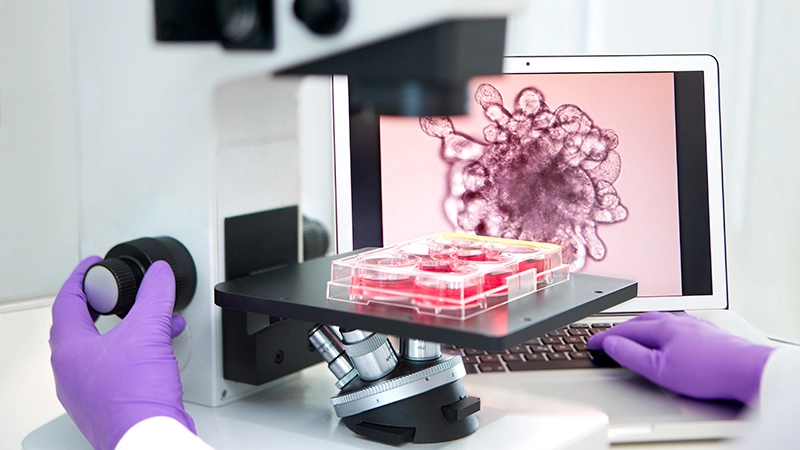 Tissue cell culture